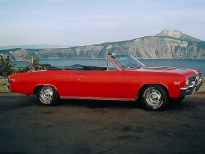 photo8.jpg - 13951 Bytes